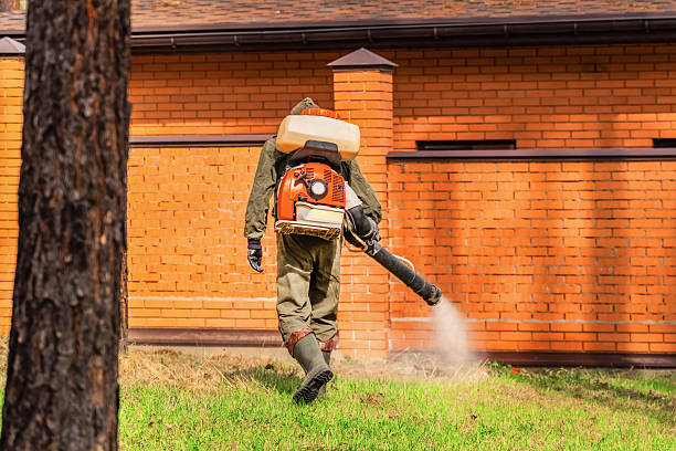 Trusted Bed Bug Control service in Norwood, PA - Nex Pest Control